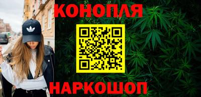 сатива Бузулук