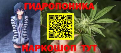 сатива Бузулук